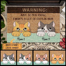 Warning Just So You Know There's A Lot Of Cats In Here - Personalized Cat Doormat