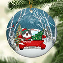 Cat On Red Truck Blue Sky Snow Field Circle Ceramic Ornament - Personalized Cat Lovers Decorative Christmas Ornament