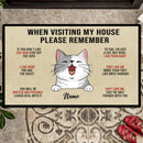 When Visiting Our House, Please Remember, Fuuny Cat Rules, Beige Background, Personalized Cat Lovers Doormat