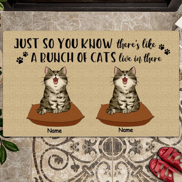 Just So You Know There's Like A Bunch Of Cats Live Here, Cat On The Pillow, Personalized Cat Breeds Doormat