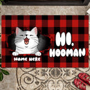 Hi Hooman, Funny Welcome Mat, Cat Lover Gifts, Cat Dad, Housewarming Gift, Personalized Cat Breed Doormat
