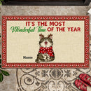 Personalized Doormat, Custom Cat Doormat, Cat Welcome Mat, Cat Lover Gifts, Christmas Gift, Rustic Home Decor
