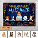 Funny Warning Signs, Gifts For Dog Lovers, Crazy Dog Lady Lives Here, Welcome Metal Signs, Dog Mom With Her Dogs