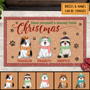 Personalized Cat Lover Doormat, Christmas Door Mat, Cat Welcome Mat, Cat Mom Gift, Cat Dad Gift, Housewarming Gift