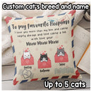 I Love You More Than My Box And Catnip - Personalized Cat Pillow