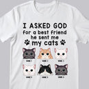 I Asked God For A Best Friend, He Sent Me My Cats - Personalized Cat T-shirt