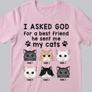 I Asked God For A Best Friend, He Sent Me My Cats - Personalized Cat T-shirt