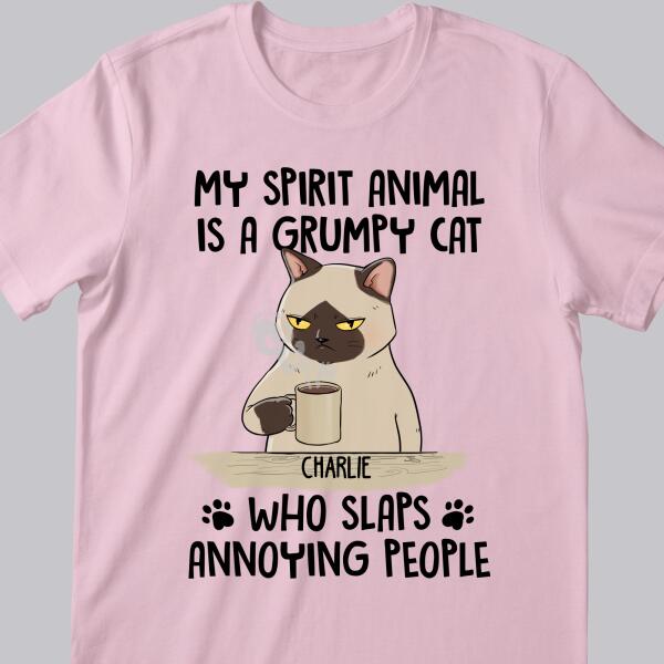 My Spirit Animal Is A Grumpy Cat - Personalized Cat T-shirt