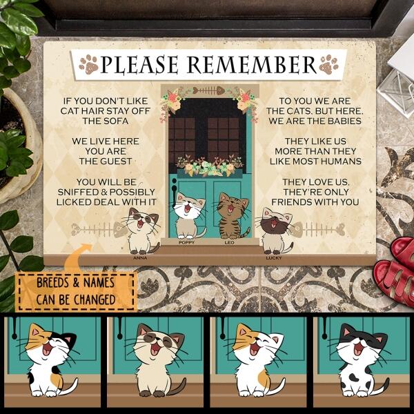 Please Remember We Live Here - Funny Cats Front Door - Personalized Cat Doormat