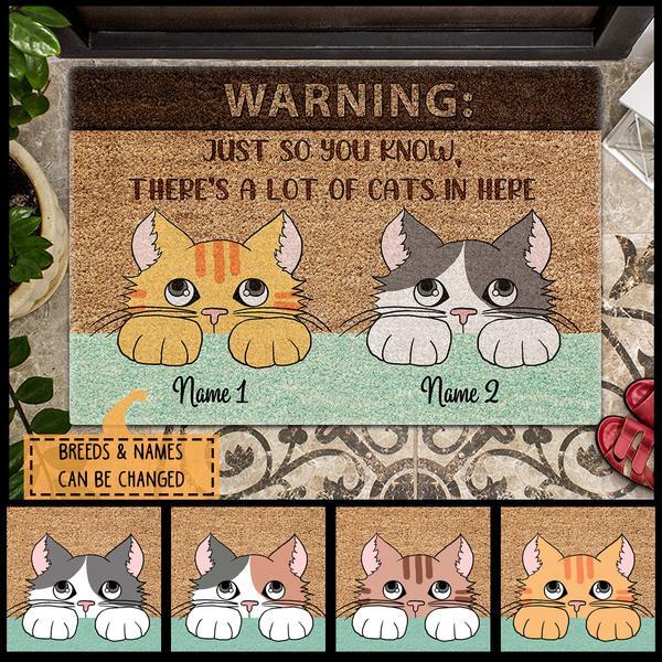 Warning Just So You Know There's A Lot Of Cats In Here - Personalized Cat Doormat
