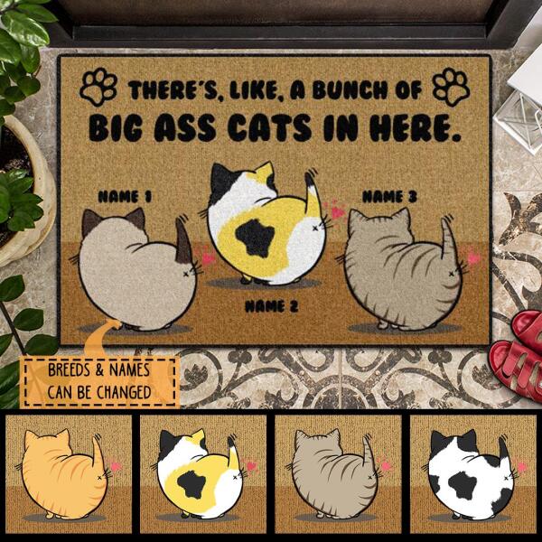 There's Like A Bunch Of Big A*s Cats In Here - Personalized Cat Doormat