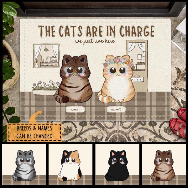 The Cat Is In Charge We Just Live Here - Cats Wear Wreath - Personalized Cat Doormat