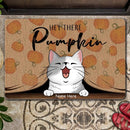 Hey There Pumpkin - Pumpkins Curtain - Personalized Cat Autumn Doormat