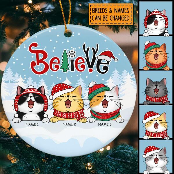 Believe - White Snow - Blue Sky - Personalized Cat Christmas Ornament