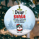 Before I Explain How Much Do You Know Circle Ceramic Ornament - Personalized Cat Lovers Decorative Christmas Ornament
