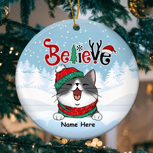 Believe - White Snow - Blue Sky - Personalized Cat Christmas Ornament