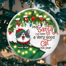 I've Been A Very Good Cat White Background Circle Ceramic Ornament - Personalized Cat Decorative Christmas Ornament