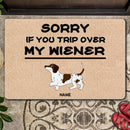 Sorry If You Trip Over My Wiener, Dachshund Doormat, Personalized Dog Breeds Doormat, Gifts For Dog Lovers