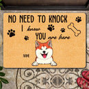 No Need To Knock We Know You Are Here, Warning Doormat, Custom Background Color, Personalized Dog Breeds Doormat