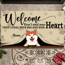 Welcome Mat Funny, Pet Rug, Cat Lover Gift, Dog Lover Gift, Gift For Pets, Home Decor, Personalized Dog & Cat Doormat