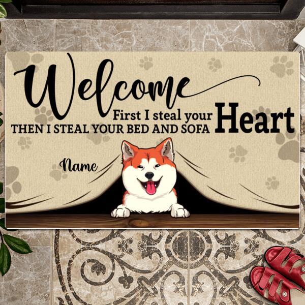 Welcome Mat Funny, Pet Rug, Cat Lover Gift, Dog Lover Gift, Gift For Pets, Home Decor, Personalized Dog & Cat Doormat