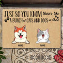 Just So You Know There's Like A Bunch Of Cats And Dogs In There, Personalized Dog & Cat Doormat, Gifts For Pet Lovers