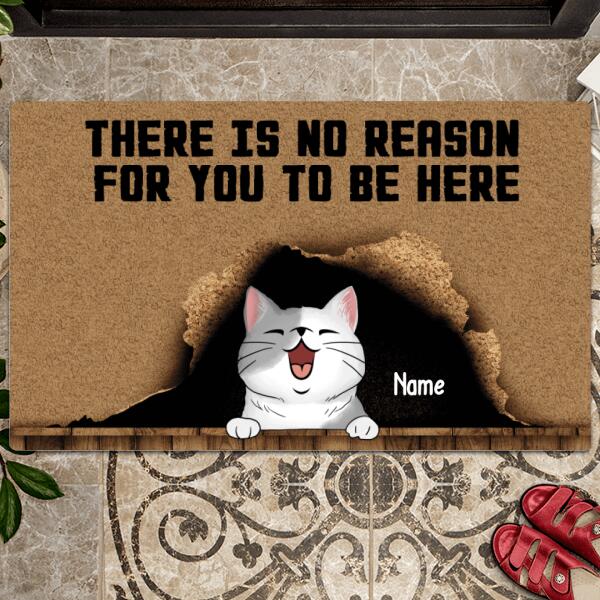 There Is No Reason For You To Be Here, Cat Rug, Cat Lover Gift, Funny Welcome Mat, Personalized Doormat Gift For Home