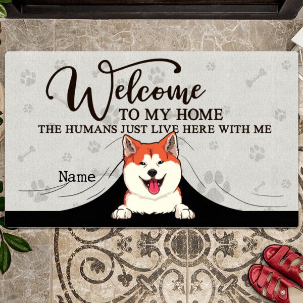 Personalized Funny Dog Cat Family Doormat, Housewarming Gift, Welcome Mat, Dog Cat Decorative Mat, Pet Lover Gift