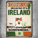 Drink Up Because It's Ireland, Happy Patrick's Day, Funny Outdoor Sign, Personalized Dog & Cat Lover Gift Metal Sign