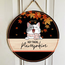 Hey There, Pumpkin - Cats Wear Scarf - Personalized Cat Door Sign