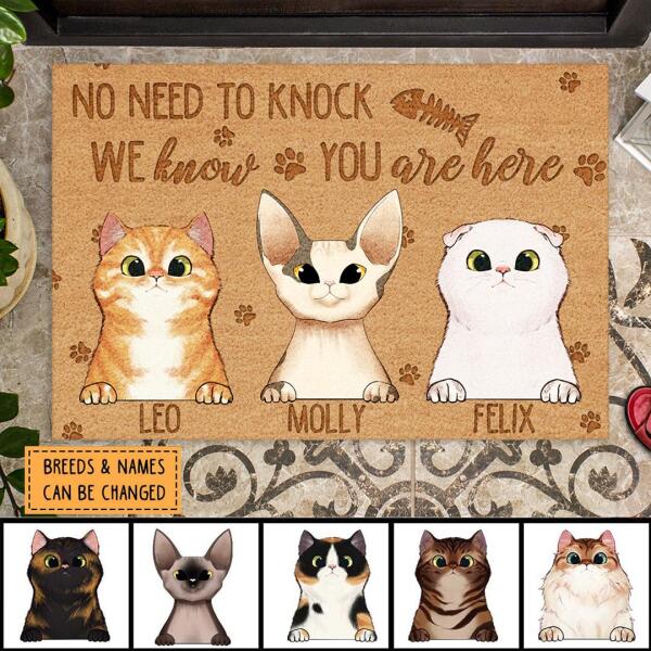 No Need To Knock We Know You Are Here - Personalized Cat Doormat