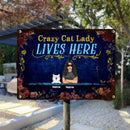 Funny Warning Signs, Gifts For Cat Lovers, Crazy Cat Lady Lives Here, Welcome Metal Signs, Cat Mom With Her Cats
