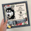 Pet Memorial, Personalized Dog & Cat Memorial Photo Collar Sign, Loss Of Pet Gifts, Best Friend Are Never Forgotten