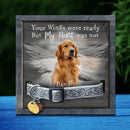 Personalized Pet Memorial Collar Sign, Pet Sympathy Gifts, Your Wings Were Ready But My Heart Was Not