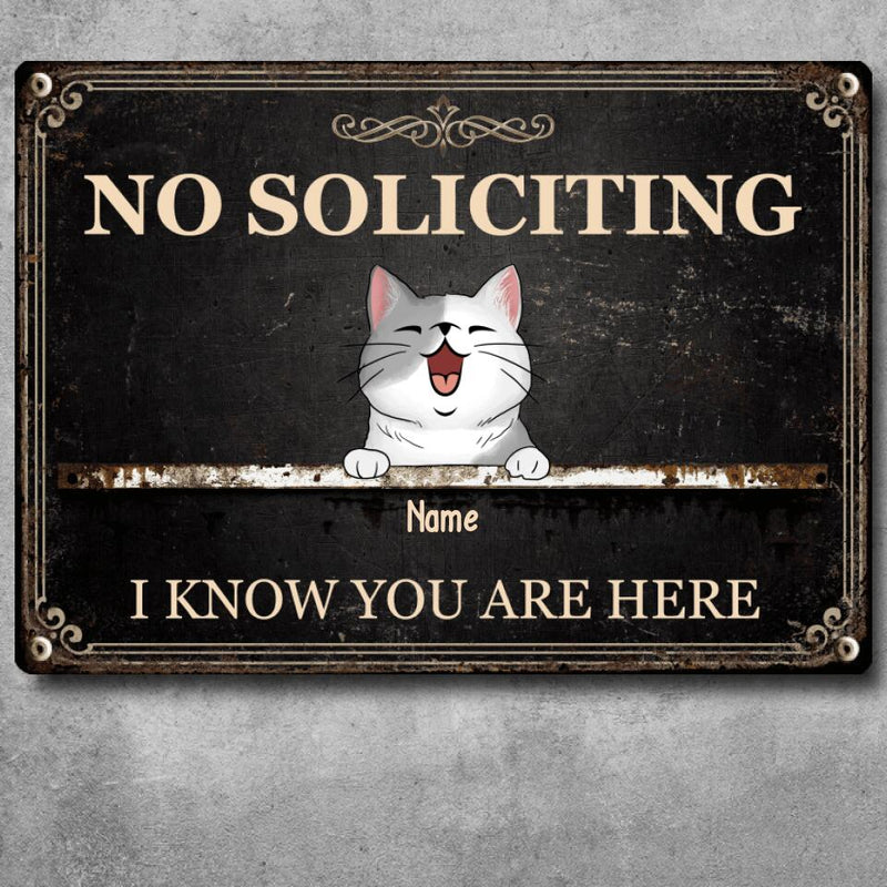 Metal Yard Sign, Gifts For Pet Lovers, No Soliciting We Know You Are Here Vintage Signs