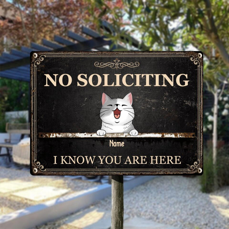 Metal Yard Sign, Gifts For Pet Lovers, No Soliciting We Know You Are Here Vintage Signs