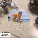 Pet Memorial Gift, Custom Pet Memorial Ornament with Photo, Dog Loss Gift, Pet Remembrance Gift, Dog Memorial Ornament, Christmas Ornaments