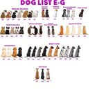 Personalized Family Ornament, Family With Pets, Custom Christmas Ornament, Christmas Keepsake, Christmas Gift, Christmas Bauble Decoration