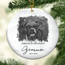 Pet Loss Gifts, Dog Memorial Gifts, Personalized Pet Memorial Ornament with Photo, Dog Memorial Christmas Ornament, Dog Remembrance Keepsake