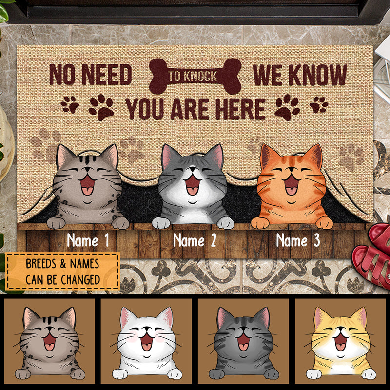 No Need To Knock We Know You Are Here, Canvas Curtain Background, Personalized Cat Breeds Doormat