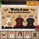 Welcome To Our Home Door Mat, Labrador Lover Gift, Dog Mat, Dog Lover Gift, Gift For Home, Personalized Pet Doormat