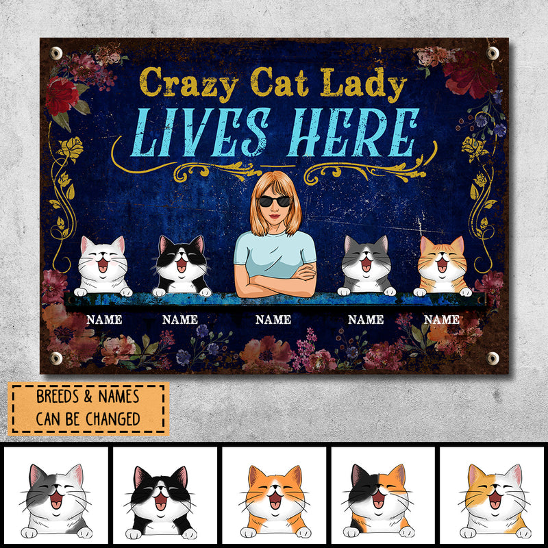 Funny Warning Signs, Gifts For Cat Lovers, Crazy Cat Lady Lives Here, Welcome Metal Signs, Cat Mom With Her Cats