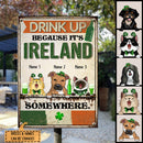 Drink Up Because It's Ireland, Happy Patrick's Day, Funny Outdoor Sign, Personalized Dog & Cat Lover Gift Metal Sign