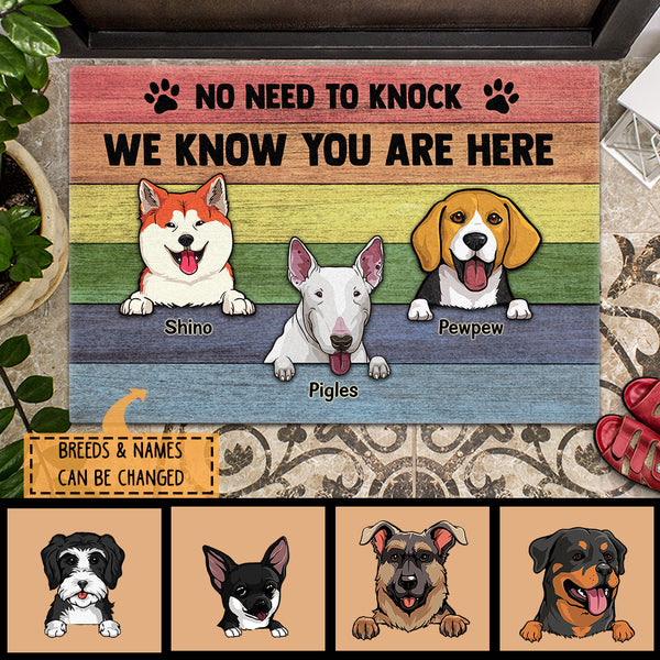 No Need To Knock We Know You Are Here, Rainbow Wood Decor, Personalized Dog Lovers Doormat