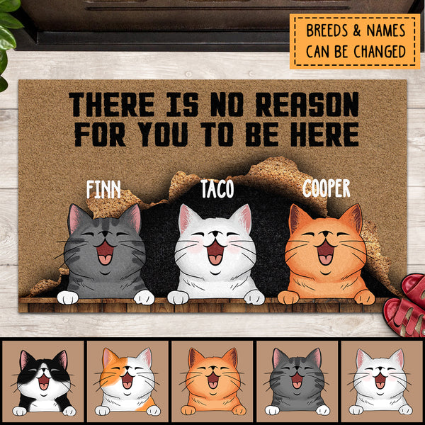 There Is No Reason For You To Be Here, Cat Rug, Cat Lover Gift, Funny Welcome Mat, Personalized Doormat Gift For Home