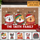 Family Name Doormat, Funny Welcome Mat, Cat Lover Gifts, Christmas Decorations, Personalized Pet Lovers Doormat