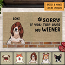 Sorry If You Trip Over My Wiener, Dog Above Brick Wall, Funny Dog Mat, Housewarming Gift, Personalized Dog Lovers Gift