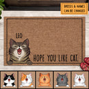 Hope You Like Cat, Personalized Doormat Gift For Cat Lovers, Door Mat Cat, Cat Rug, Funny Welcome Mat, Cat Dad Gift