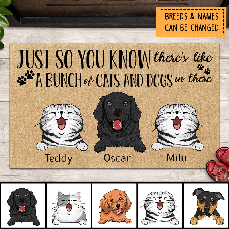 Just So You Know There's Like A Bunch Of Cats And Dogs In There, Personalized Dog & Cat Doormat, Gifts For Pet Lovers